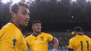 World Rugby Hello GIF by Rugby World Cup