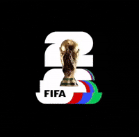 World Cup Football GIF