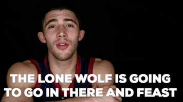 fight wolf GIF by UFC