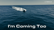 Me Too Boat GIF by GEMLUX