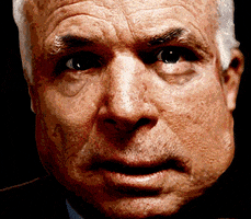 thinks john mccain GIF