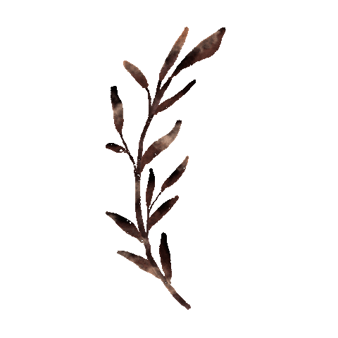 Kerstinsstudio giphyupload illustration boho watercolor Sticker