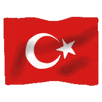 Moon Turkey Sticker