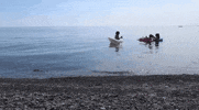 much fun summer friends water GIF