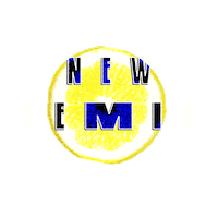 Rave Lemon Sticker by WASHED OUT FESTIVAL