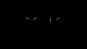 sonomusicgroup music record label logo reveal sono music group GIF