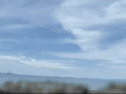 Footage Oaf GIF by jorgemariozuleta