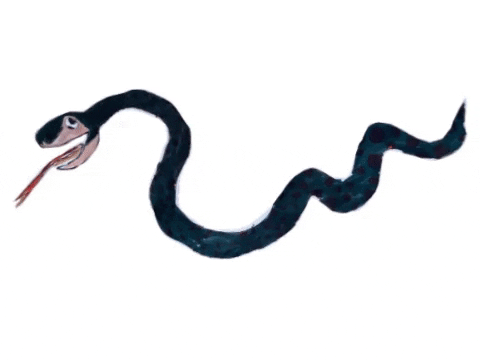 Snako GIF by Kunstkwartier