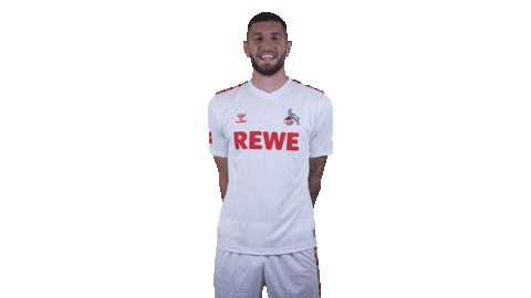 Fc Cologne Football Sticker by 1. FC Köln