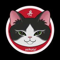 Cat Laugh GIF
