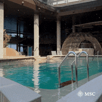 Fun Travel GIF by MSC Cruises Official