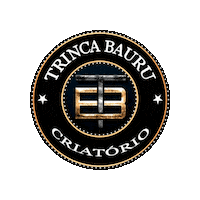 Bauru Trinca Sticker by Protec Horse