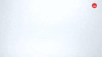 Awkward Turtle Tuesday