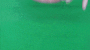 ExperimenMeatGrinder funny colorful candy meat GIF