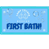 Bath Time Rub A Dub Sticker by Camp Cocker Rescue