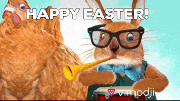 Happy Easter GIF by Vimodji