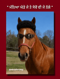 Horse Billboard GIF
