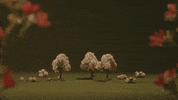 samirawinter new pink winter flowers GIF