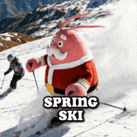 Skiing Spring Ski GIF by LobsterClaus