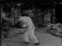 vhs taichi GIF by Royal Smith