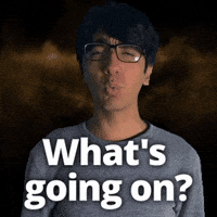 Confused Whats Going On GIF