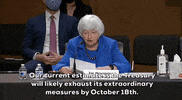 Janet Yellen Treasury GIF by GIPHY News