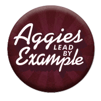 Texas Am Football Sticker by Texas A&M University