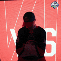 ice hockey sport GIF by NHL