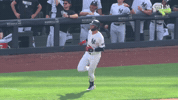 Celebrate New York Yankees GIF by MLB