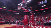 Nba Playoffs Sport GIF by NBA