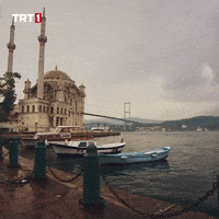 Travel World GIF by TRT