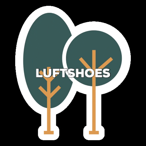 Luftshoes giphygifmaker luft luftshoes GIF