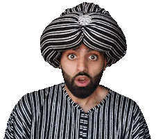 Shocked No Way Sticker by The Sultan