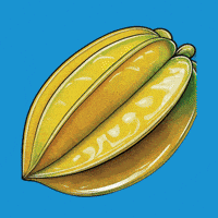 Comida Fruit GIF