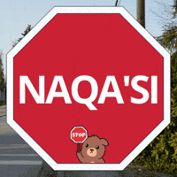 Lnu Micmac GIF