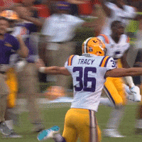College Sports Sport GIF by LSU Tigers
