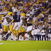 College Football GIF by LSU Tigers