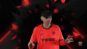 Uh Oh What GIF by Tribe Gaming