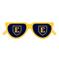 Blue And Gold Sunglasses Sticker by ETSU
