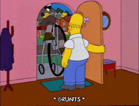 homer simpson GIF