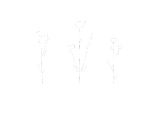 flowers harukakly Sticker
