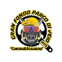 Gfparcodiveio Sticker by AsdFlaminiaBike