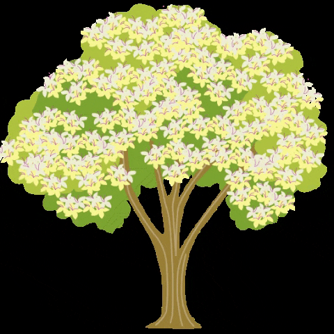 cynthiabauzonarre giphygifmaker flower flowers tree GIF
