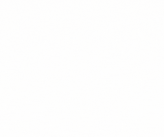 BigCorkVineyards wine winery cork big cork GIF