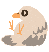 Summer Bird Sticker