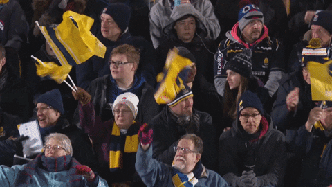 fans flags GIF by Worcester Warriors