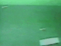 Rocking Rock And Roll GIF by Rob Zombie