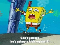 season 3 GIF by SpongeBob SquarePants