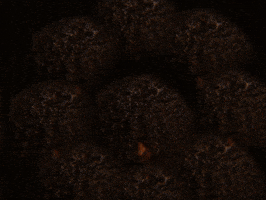 Staring Head Up GIF by GIPHY IRL
