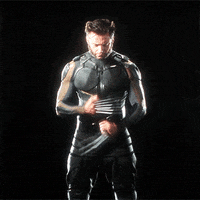 days wolverine GIF